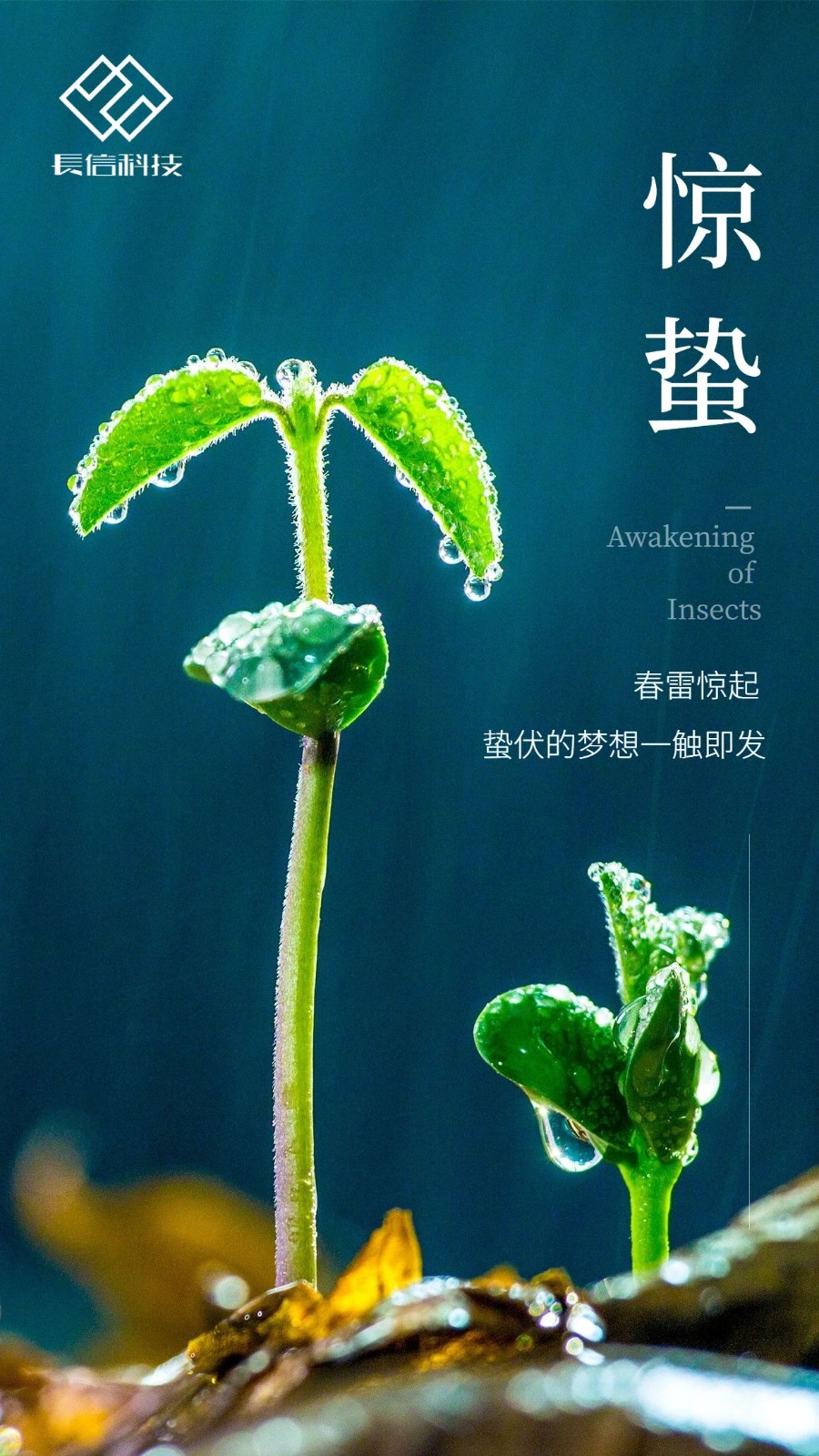 微信图片_20250725150802.jpg